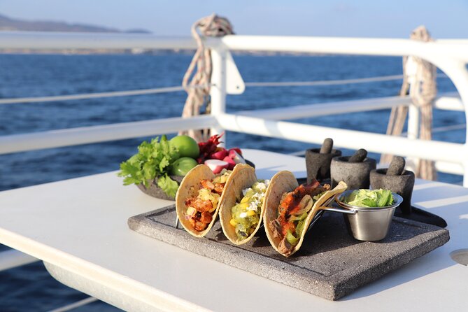 Tacos buffet & Open Bar Cruise! Los Cabos Round Transportation - How much value do you get for $161?