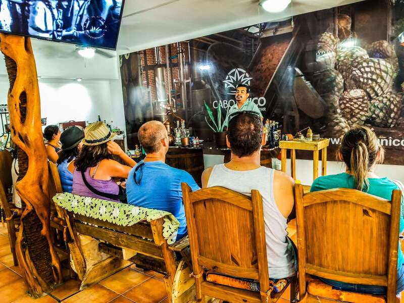 Tequila & Mezcal Tasting Experience - Food pairings that change the experience