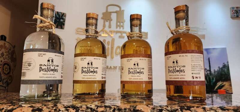 Tequila & Mezcal Tasting Experience - Why the central Cabo location helps
