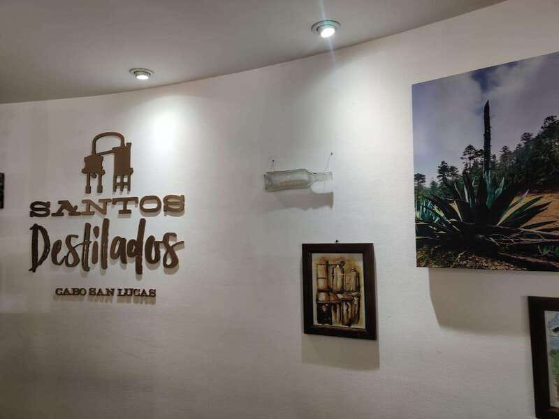 Tequila & Mezcal Tasting Experience - What the guides add to the hour and a half