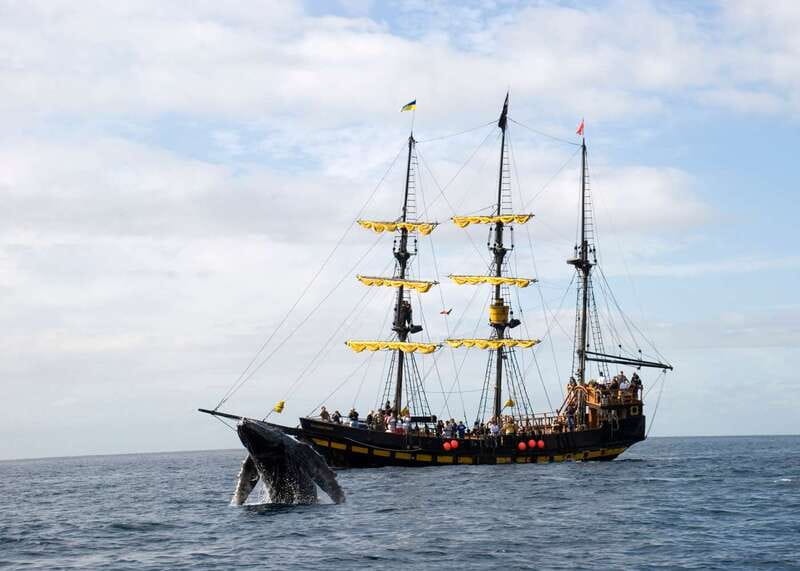 Thar She Blows! Whale Watching Pirate Cruise - Finding Dock 0 at the Cabo marina
