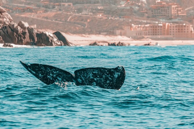 The Finest Private Yacht Experience in Cabo - Who will enjoy this Cabo yacht experience
