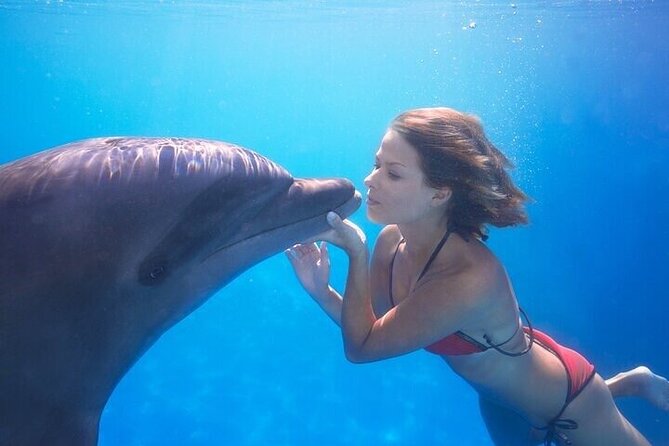 The only Natural Space Dolphin Encounter in Cabo Optional Pickup! - Arriving at the facility in Cabo