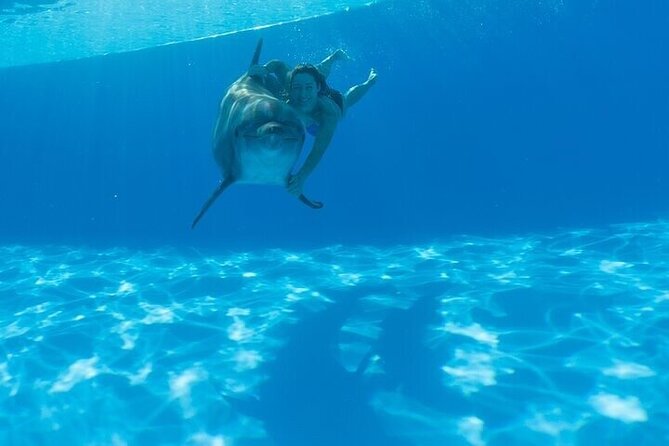 The only Natural Space Dolphin Encounter in Cabo Optional Pickup! - The staff make the difference