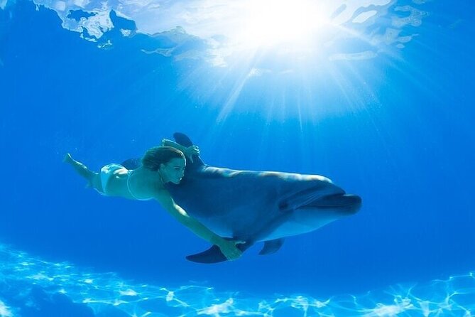 The only Natural Space Dolphin Encounter in Cabo Optional Pickup! - Who will enjoy this most