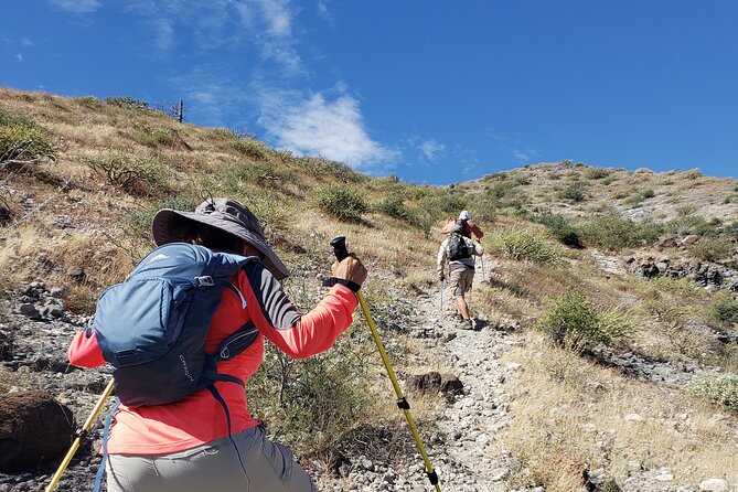 The Ultimate Camel Safari Experience in Los Cabos - Key points to know before you book