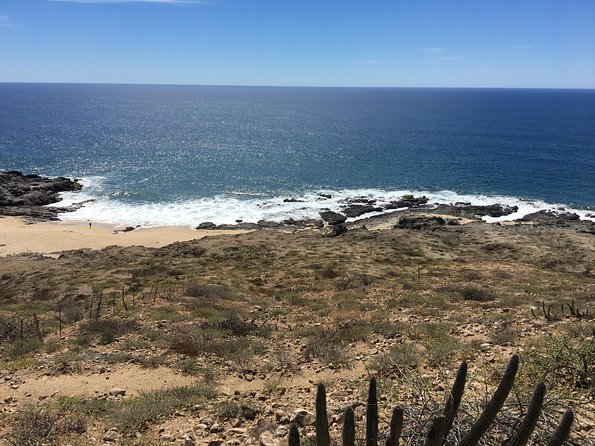 Todos Santos Day Trip from Cabo San Lucas - Tequila tasting and lunch in town