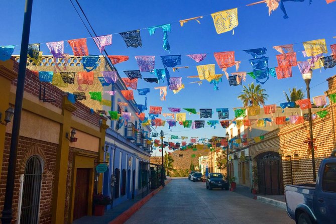 Todos Santos Day Trip from Cabo San Lucas - Guides, vans, and the pace of the day