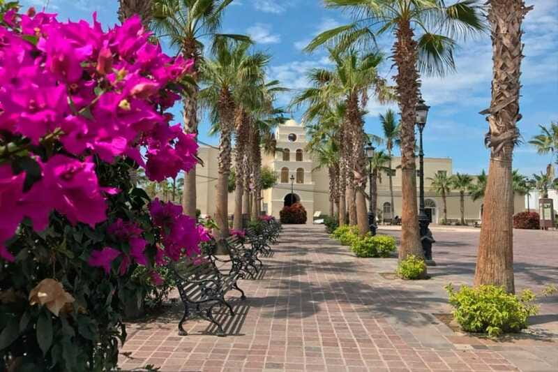 Todos Santos Encounter Tour - Who should book this Todos Santos tour?