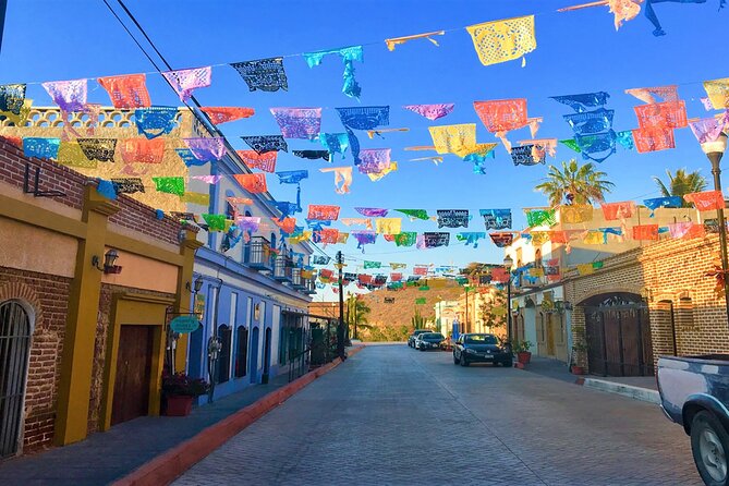 Todos Santos Magical Town Guided Tour - Museums, theater, and the town’s creative side