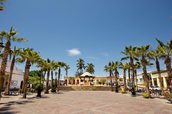 Todos Santos Private 6 hrs 1-08 paxs - Why Todos Santos works as a half-day escape