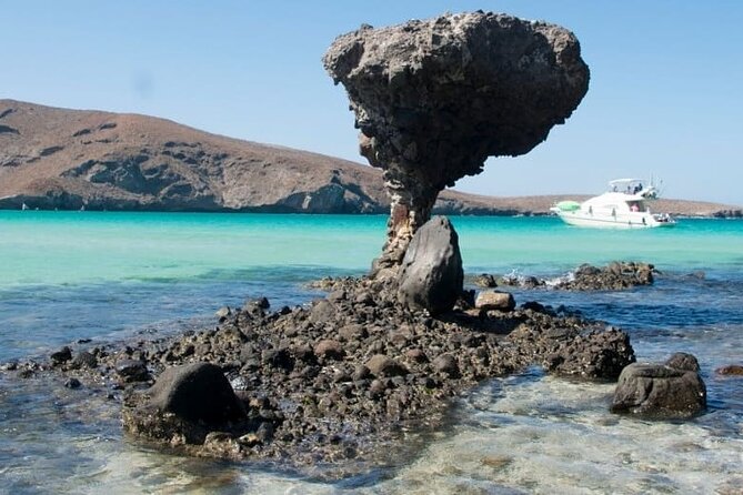 Tour to Playa La Paz from Cabo San Lucas - Key points to know before booking