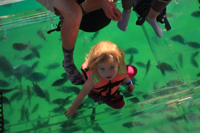 Tour to the Arch of Cabo San Lucas in a transparent glass boat - Hotel pickup from San Jose del Cabo