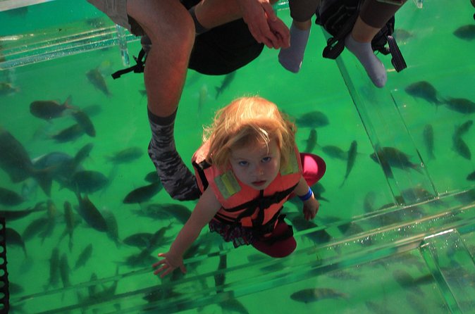 Tour to the Arch of Cabo San Lucas in a transparent glass boat - Small details that make the day easier