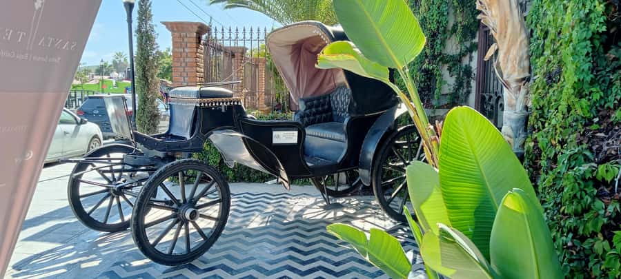 Tour Todos Santos Magical Town, Hotel California - Key points to know before booking