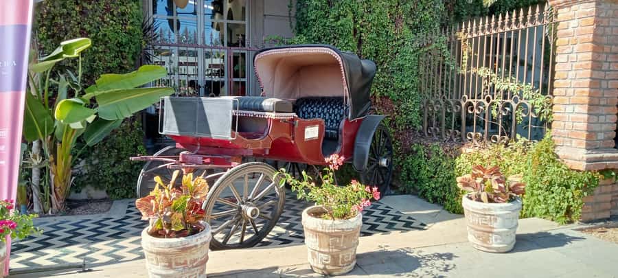 Tour Todos Santos Magical Town, Hotel California - From Los Cabos to Todos Santos in a private SUV