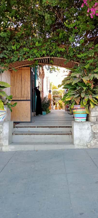 Tour Todos Santos Magical Town, Hotel California - What the guide adds to the day
