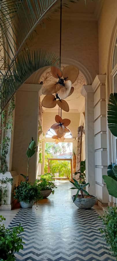 Tour Todos Santos Magical Town, Hotel California - Who will like this Todos Santos tour?