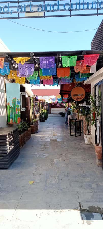 Tour Todos Santos Magical Town, Hotel California - Practical details that make the day easier