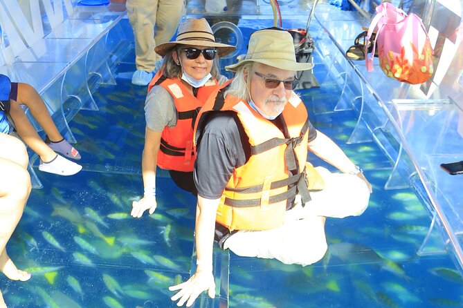 Tours in Cabo, Paseo al Arco and Fin de la Tierra in the only Clear Boat - Sea lions, pelicans, and Cabo’s famous beaches