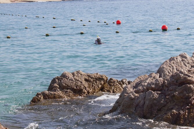 unforgettable snorkeling activity in The Sea of Cortes - Why this Sea of Cortes outing works
