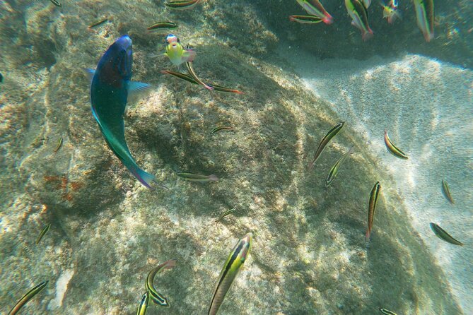 unforgettable snorkeling activity in The Sea of Cortes - Pedro’s personal driving style adds value