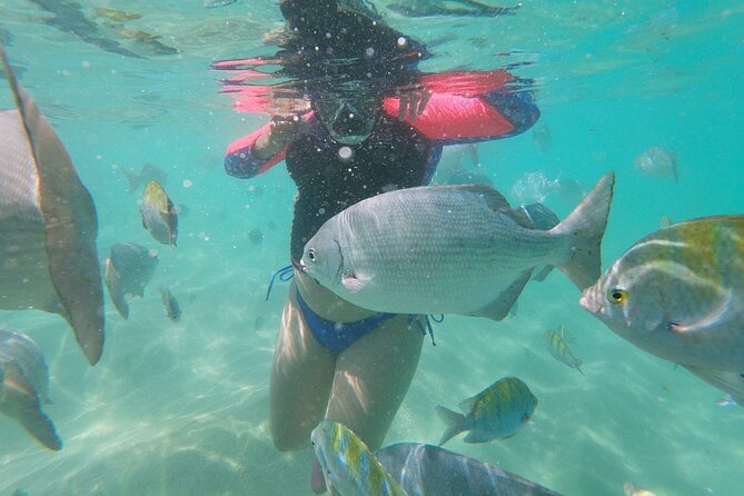 unforgettable snorkeling activity in The Sea of Cortes - Is $120 a fair price?