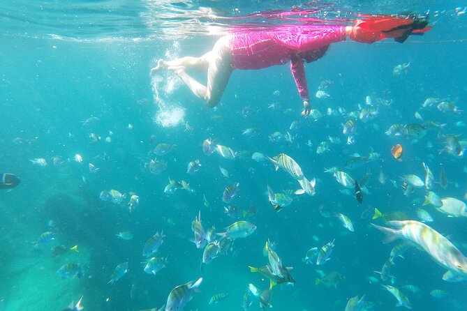 unforgettable snorkeling activity in The Sea of Cortes - What to bring and what to confirm