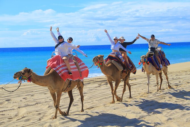 UTV Adventure with Free Camel Ride and Sky Bikes - How much value do you get for $175?