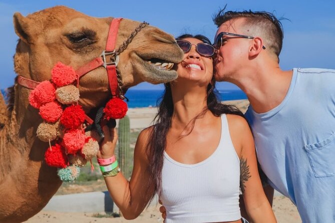 UTV and Camel Ride in the Cabo Desert - Meeting and riding the camels