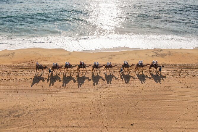UTV and Camel Ride in the Cabo Desert - What the $140.48 price really covers