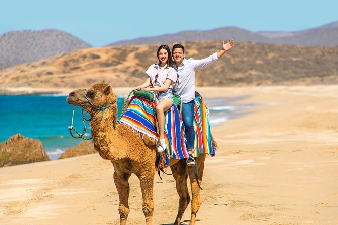 UTV and Camel Ride in the Cabo Desert - Pickup from Cabo San Lucas or San José del Cabo