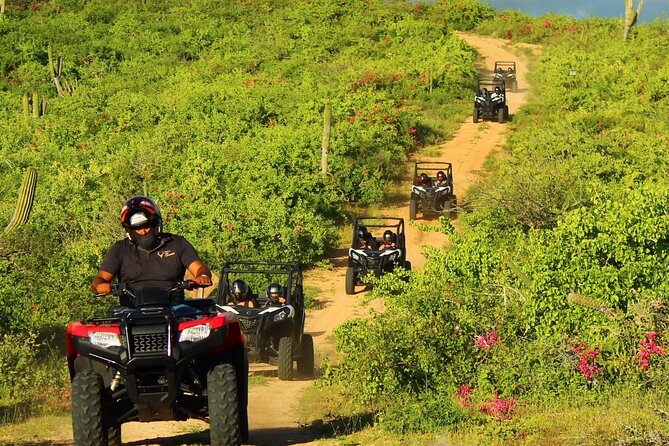 Viper Trail UTV Small-Group Experience in Cabo San Lucas - Quesadillas after the dust