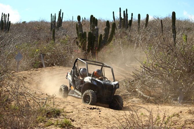 Viper Trail UTV Small-Group Experience in Cabo San Lucas - Guides who shape the pace