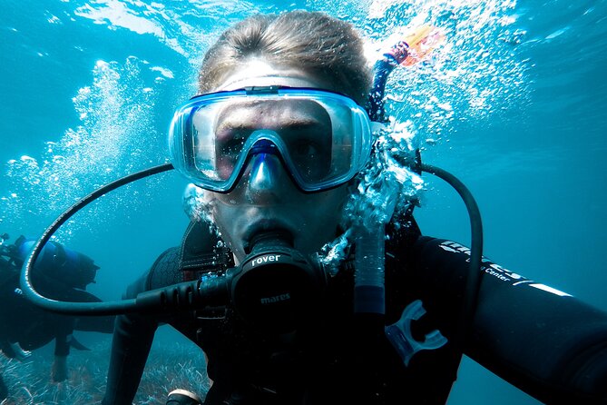 Whale and Dive Combo Tour in Los Cabos - Why this Cabo morning is more than a whale-watching trip