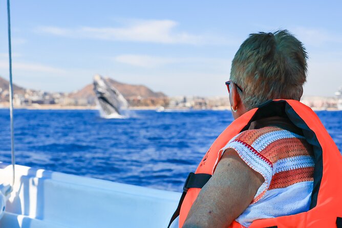 Whale Tour, Arch, Professional Photos & Hydrophone - The Hydrophone Makes This More Than a Viewing Trip