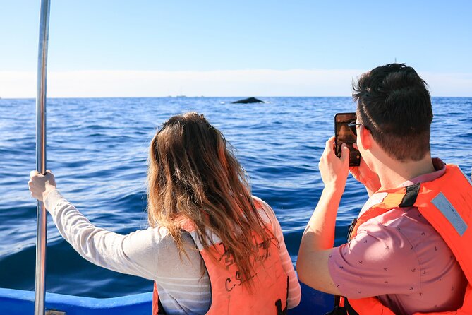 Whale Tour, Arch, Professional Photos & Hydrophone - Who Will Get the Most From This Tour?