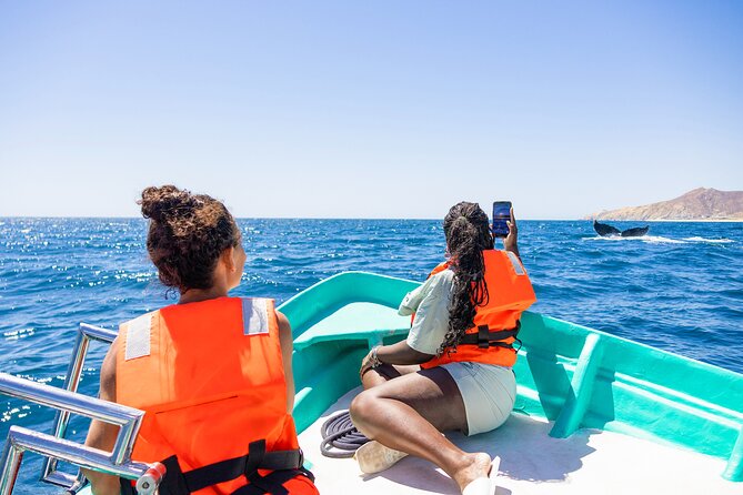 Whale Tour, Arch, Professional Photos & Hydrophone - Responsible Boating and Regional Conservation