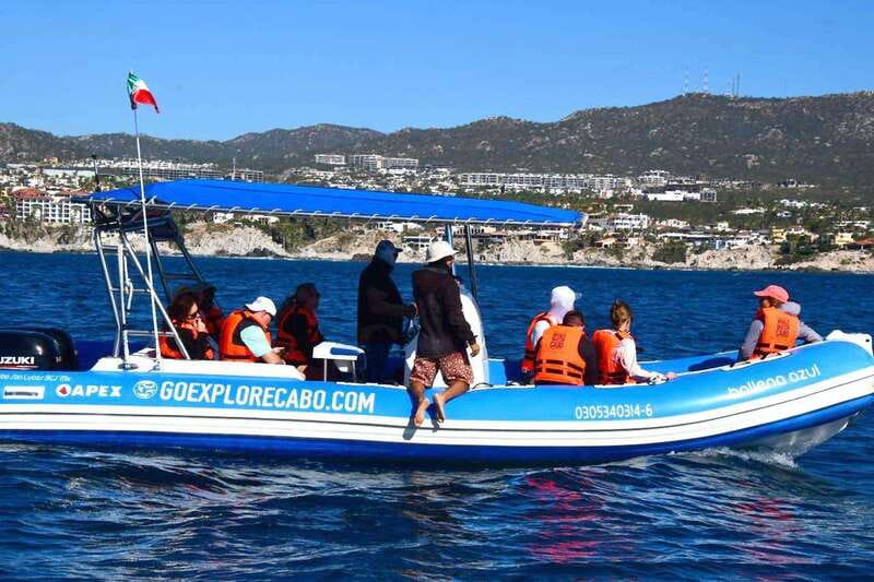 Whale Watch Cabo: Zodiac Whale Adventure - FREE Photos - Searching for Humpback Whales