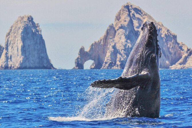 Whale Watching and Cabo San Lucas Arch - Cabo’s Arch and the first look at the Pacific