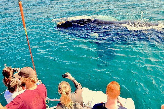 Whale Watching and Cabo San Lucas Arch - Lover’s Beach, Pelican Rock, and the beach-time question