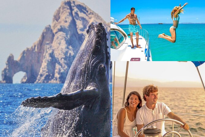 Whale Watching & Arch Catamaran Cruise in Cabo San Lucas - What the EcoCat boat offers on board
