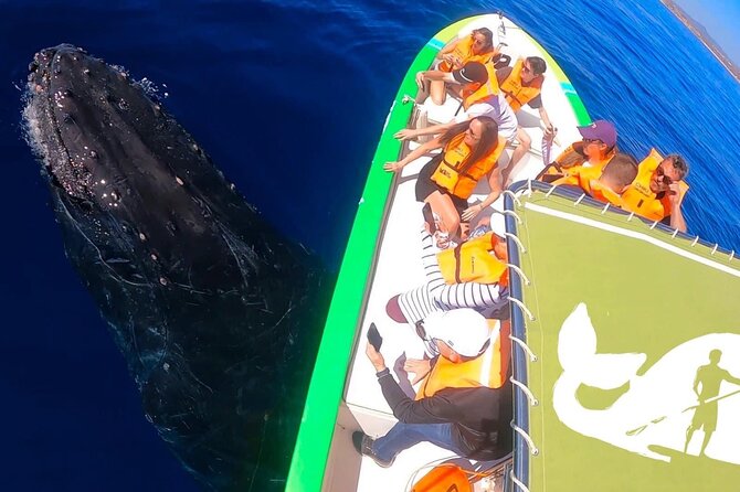 Whale Watching Cabo-Women crew-Sightings Guaranteed & Free Photos - Whale sightings and the second-chance promise