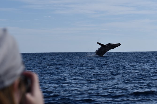Whale Watching Cabo-Women crew-Sightings Guaranteed & Free Photos - Photos included, with one important caution