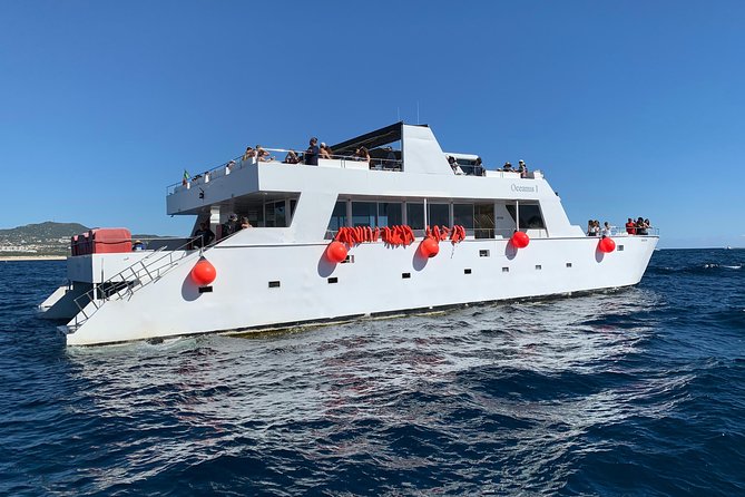 Whale Watching Cruise in Cabos San Lucas and Ground Transportation - Is $118 a fair price?