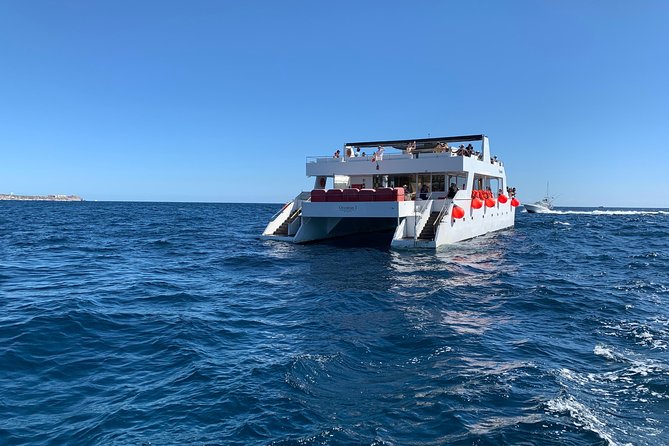 Whale Watching Cruise in Cabos San Lucas and Ground Transportation - Who will enjoy this Cabo excursion most?