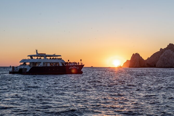 Whale Watching Dinner Cruise in Cabo San Lucas - Is $110 a Good Value?