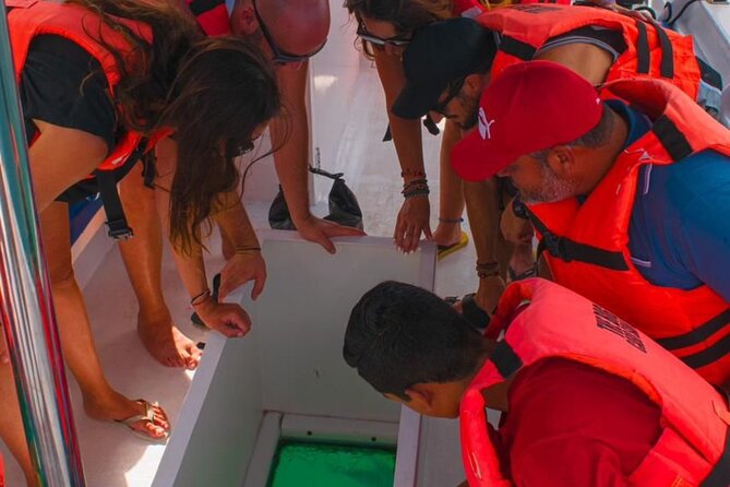 Whale Watching Experience in Cabo San Lucas 2 hours - The CALMEX beach and unusual rock shapes