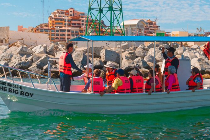 Whale Watching Experience in Cabo San Lucas 2 hours - Group size, language, and comfort