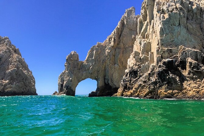 Whale Watching in Cabo: 2-Hour Small Group Tour to The Arch - Finding the marina and getting ready